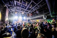 豆柴の大群バンドセッションの様子。（撮影：タカギユウスケ）