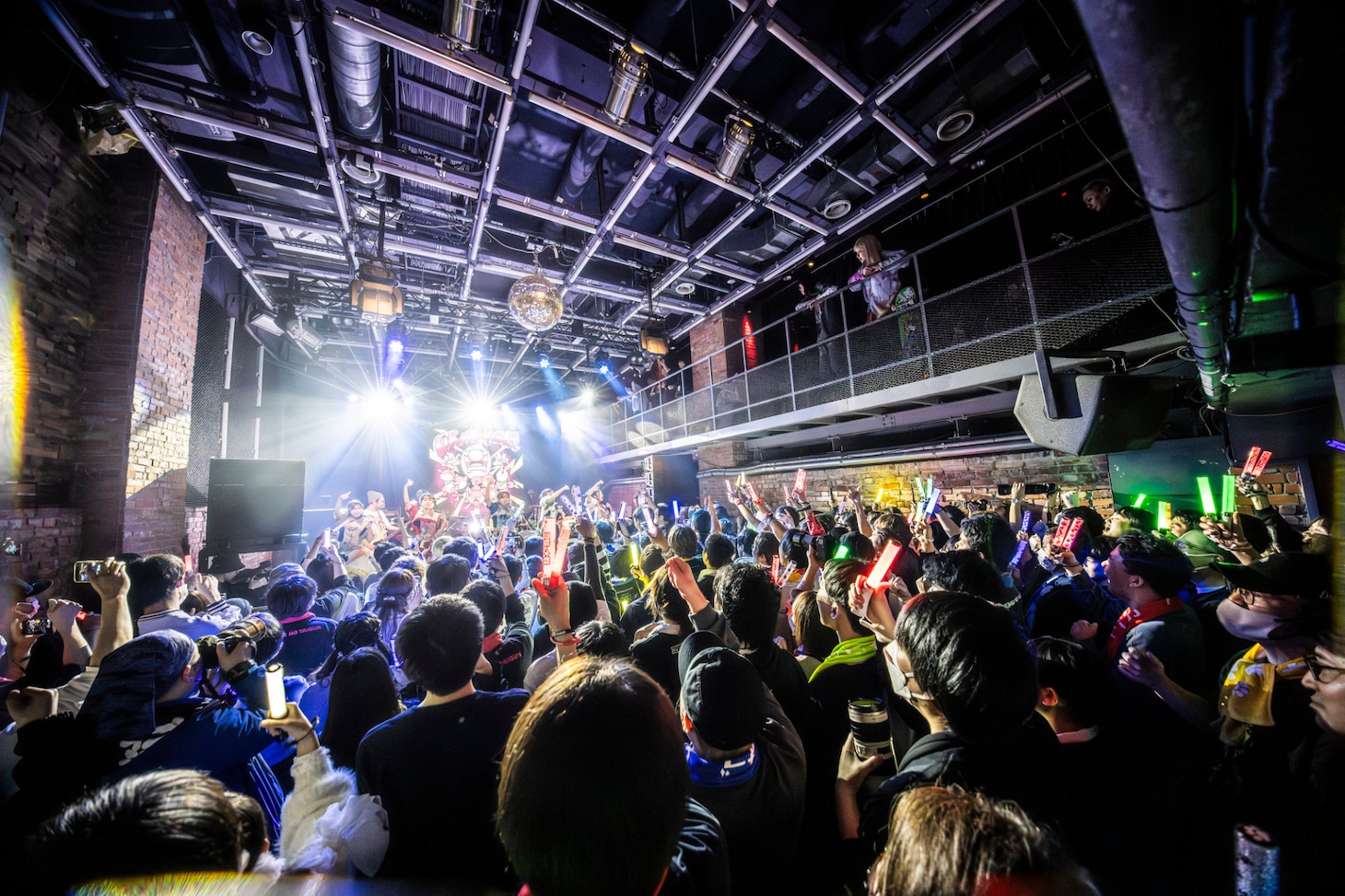 豆柴の大群バンドセッションの様子。（撮影：タカギユウスケ）