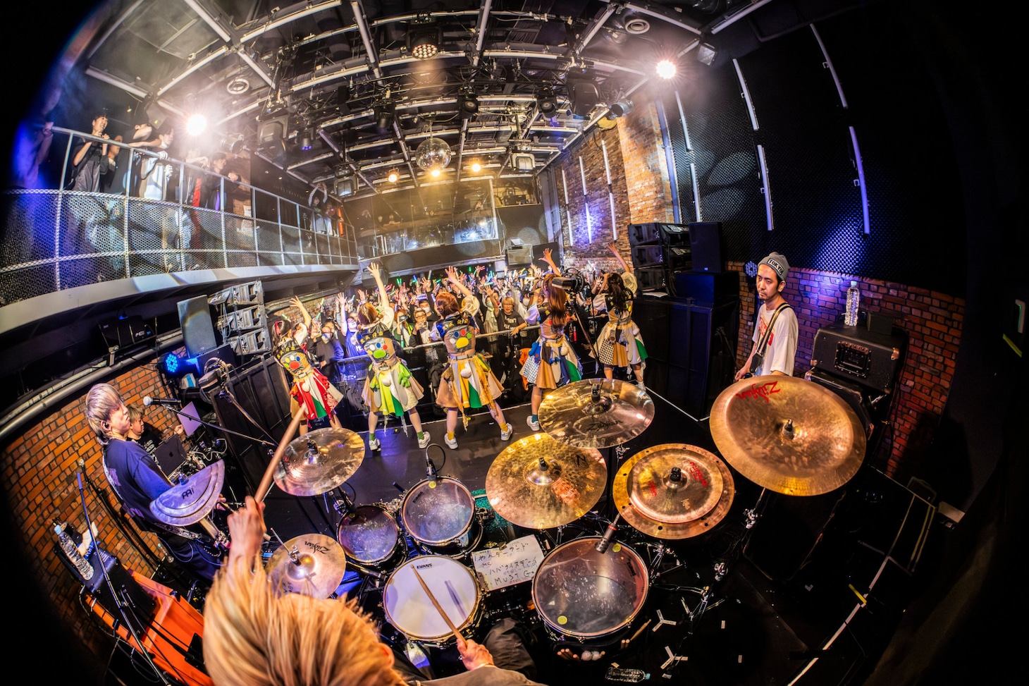 豆柴の大群バンドセッションの様子。（撮影：タカギユウスケ）