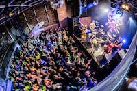 豆柴の大群バンドセッションの様子。（撮影：タカギユウスケ）