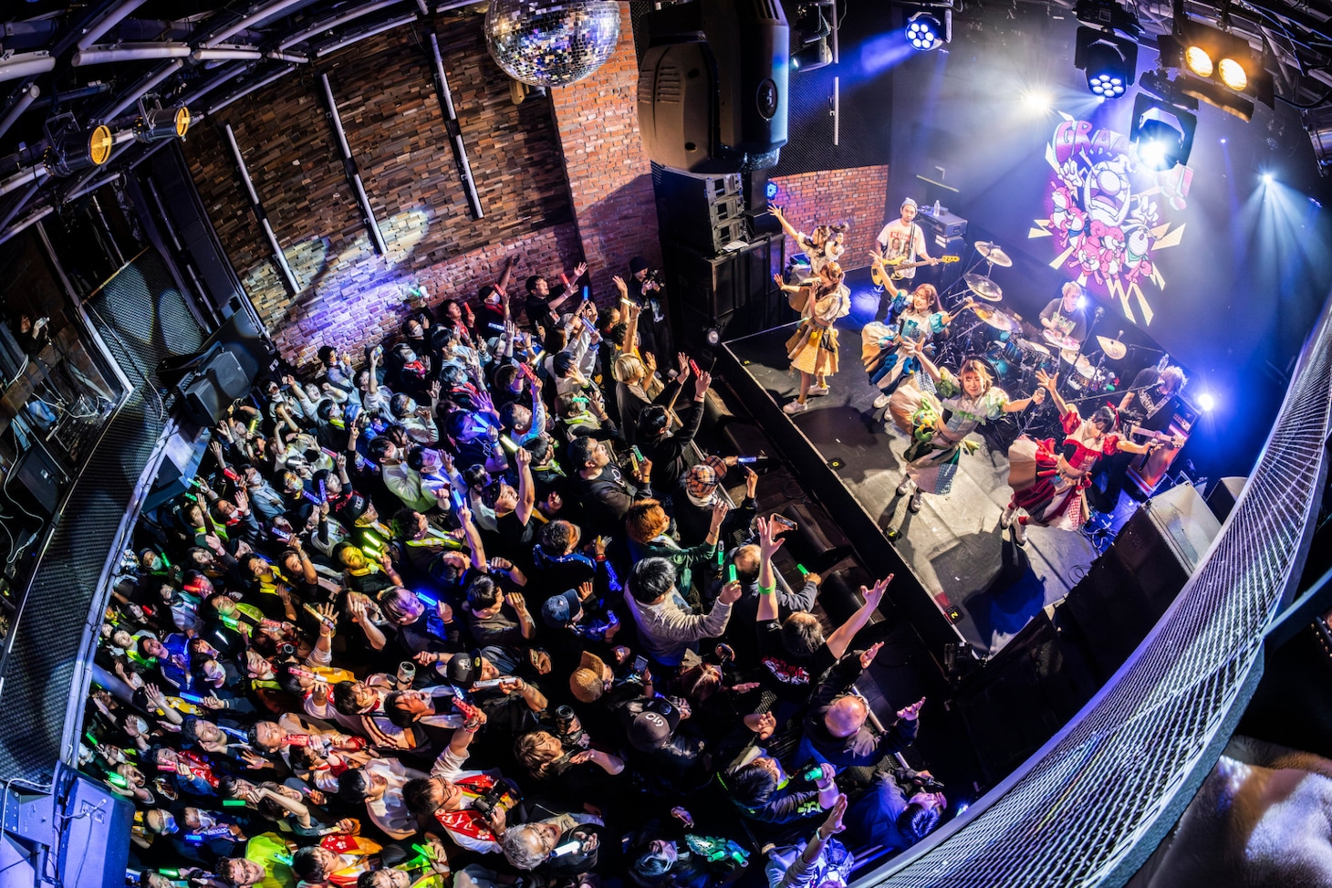 豆柴の大群バンドセッションの様子。（撮影：タカギユウスケ）