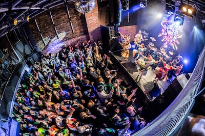 豆柴の大群バンドセッションの様子。（撮影：タカギユウスケ）