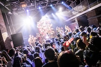 豆柴の大群バンドセッションの様子。（撮影：タカギユウスケ）