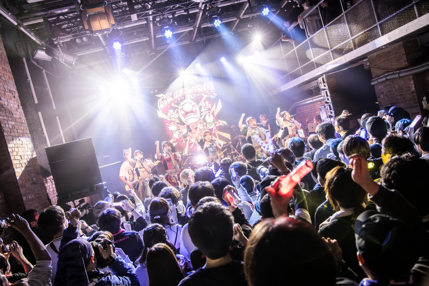 豆柴の大群バンドセッションの様子。（撮影：タカギユウスケ）