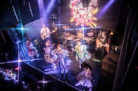 豆柴の大群バンドセッションの様子。（撮影：タカギユウスケ）