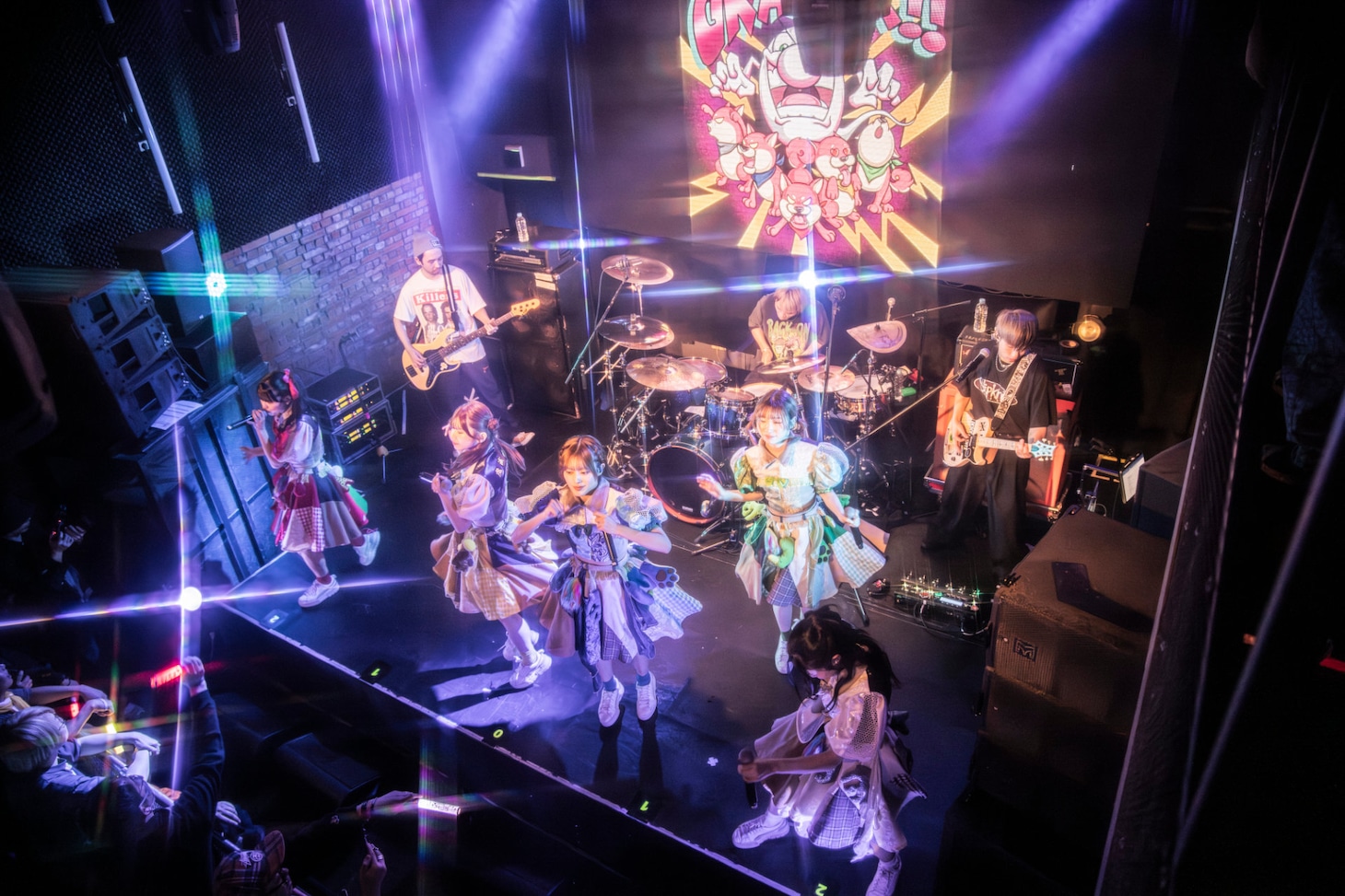 豆柴の大群バンドセッションの様子。（撮影：タカギユウスケ）