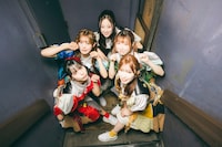 豆柴の大群（撮影：タカギユウスケ）