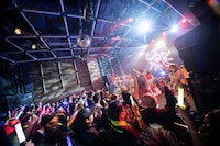 豆柴の大群（撮影：タカギユウスケ）