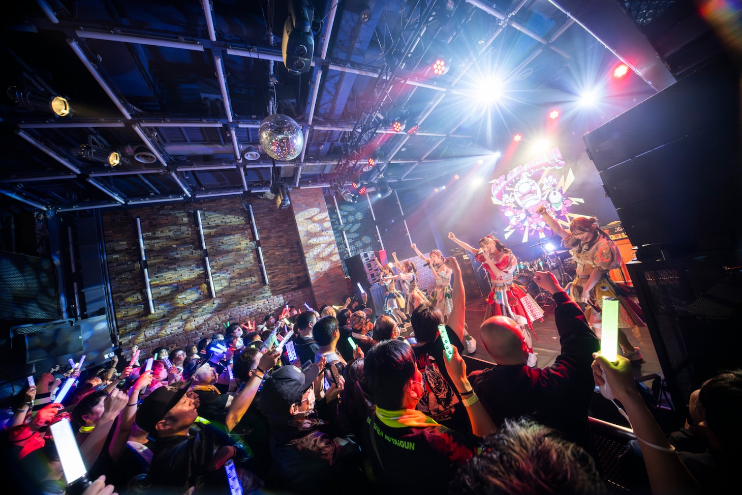 豆柴の大群（撮影：タカギユウスケ）