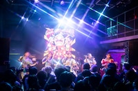 豆柴の大群（撮影：タカギユウスケ）