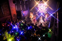 豆柴の大群（撮影：タカギユウスケ）