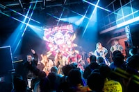 豆柴の大群とTEEDA（BACK-ON）セッションの様子。（撮影：タカギユウスケ）