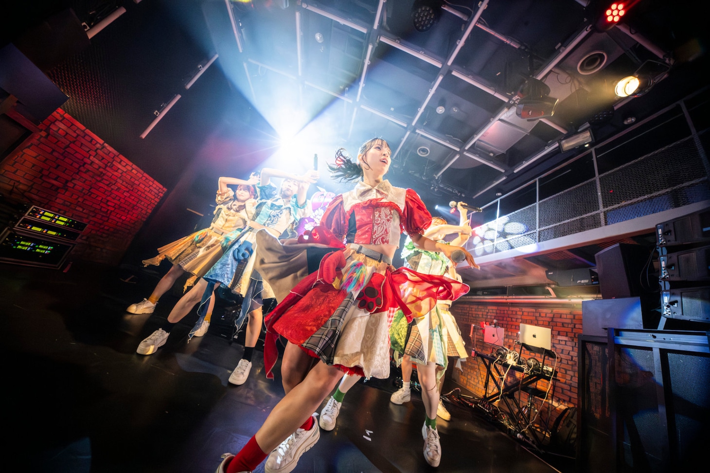 豆柴の大群（撮影：タカギユウスケ）