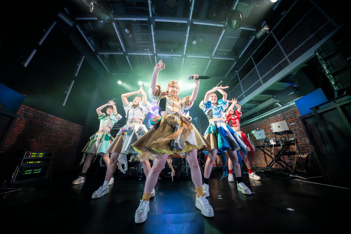 豆柴の大群（撮影：タカギユウスケ）