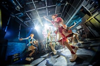 豆柴の大群（撮影：タカギユウスケ）