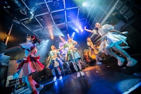 豆柴の大群（撮影：タカギユウスケ）