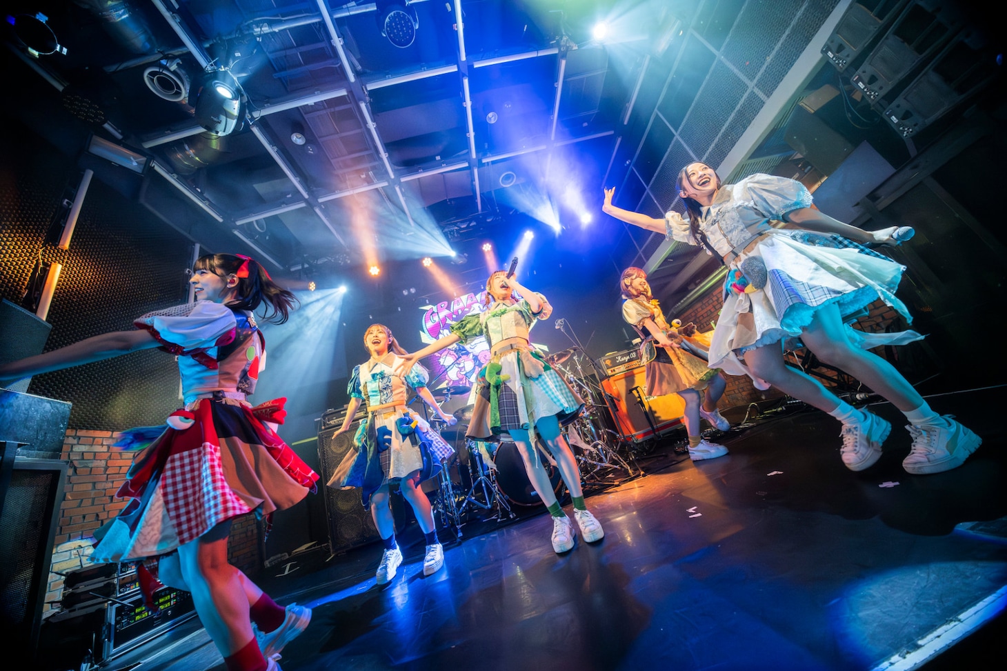 豆柴の大群（撮影：タカギユウスケ）