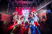 豆柴の大群（撮影：タカギユウスケ）