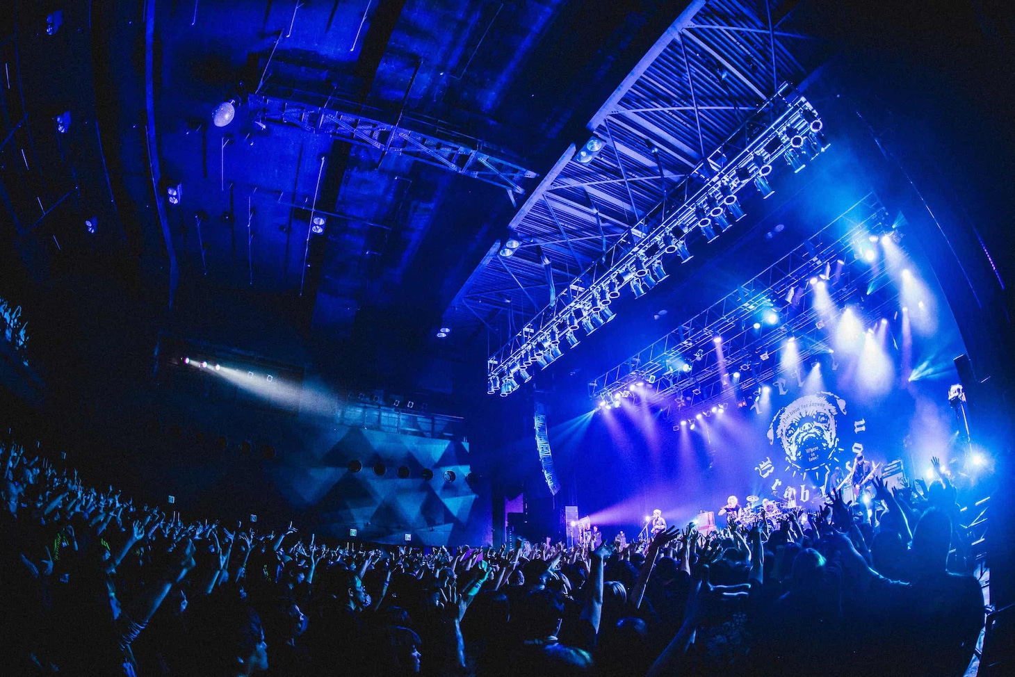 Petit Brabancon「If You Just Stare Then Headbang or Die」Zepp DiverCity（TOKYO）の様子。