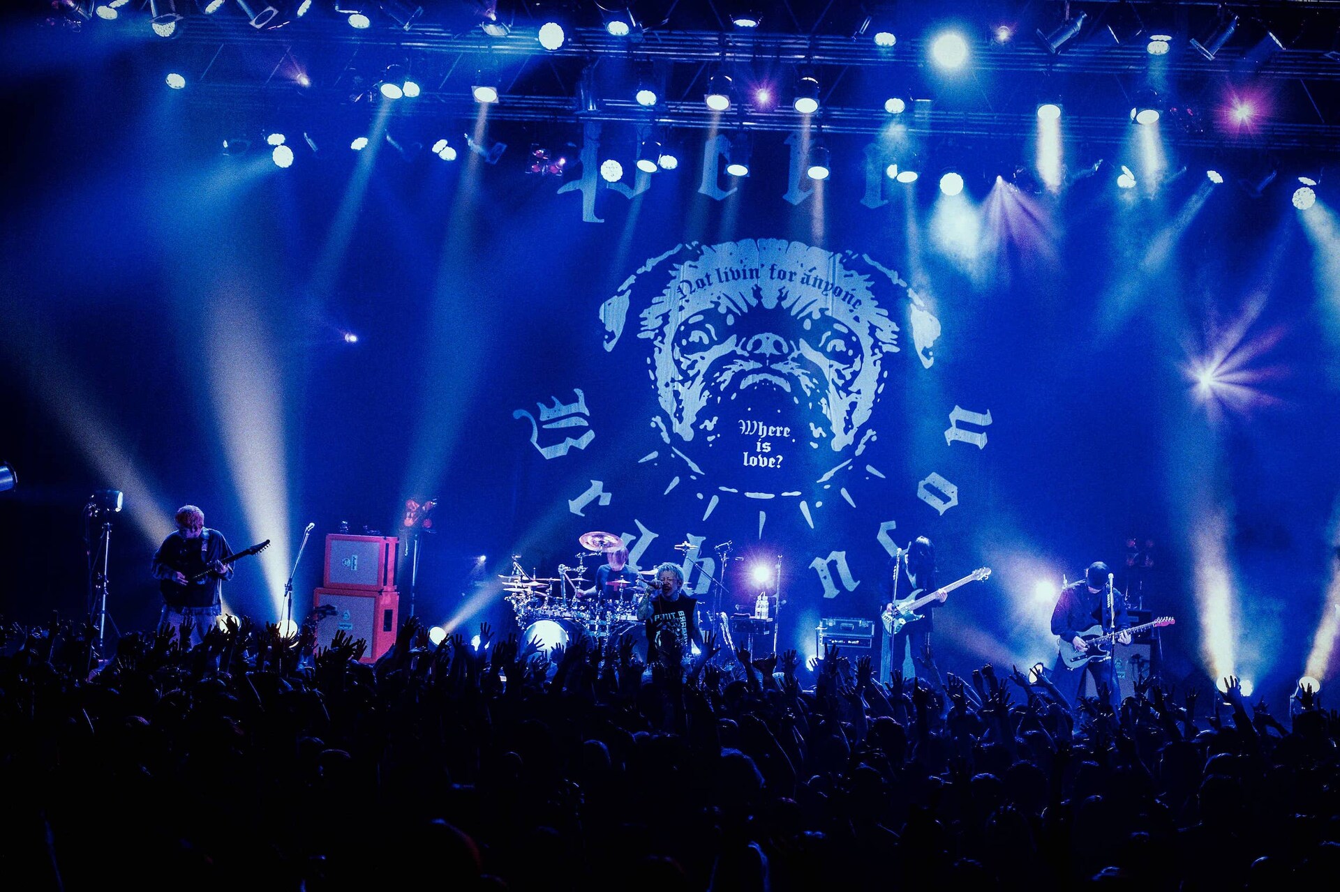 京（Vo / DIR EN GREY、sukekiyo） [画像ギャラリー 9/16] - 音楽ナタリー