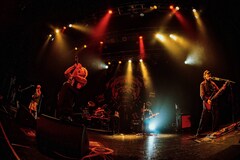 Petit Brabanconの苛烈さを打ち出すライブハウスツアー開幕、“緩”を排除し攻撃性あらわに