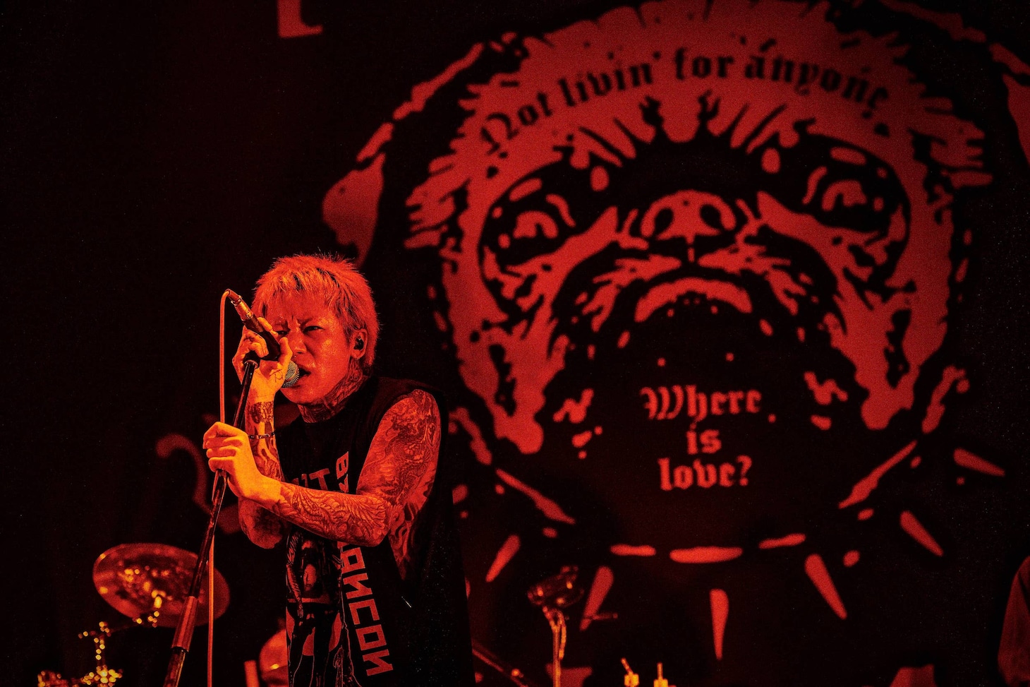 京（Vo / DIR EN GREY、sukekiyo）