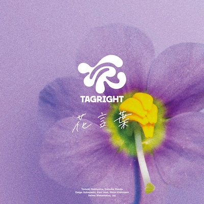 TAGRIGHT「花言葉」配信ジャケット