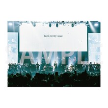 Amazon購入特典「This is ACIDMAN 2025 in 日本武道館」LIVE PHOTOビジュアルシート