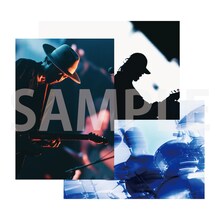 その他CDショップ購入特典「This is ACIDMAN 2025 in 日本武道館」LIVE PHOTO SET