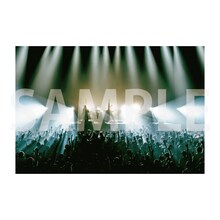 タワーレコード購入特典「This is ACIDMAN 2025 in 日本武道館」LIVE PHOTOポストカード