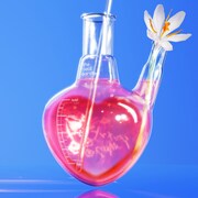 THE BEAT GARDEN「エレメント」通常盤ジャケット