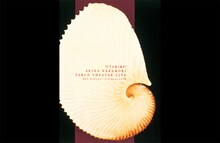 中森明菜に溺れる3月、ライブ映像を6日間連続でオンエア