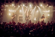 ハク。（Photo by toya）