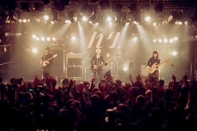 ハク。（Photo by toya）