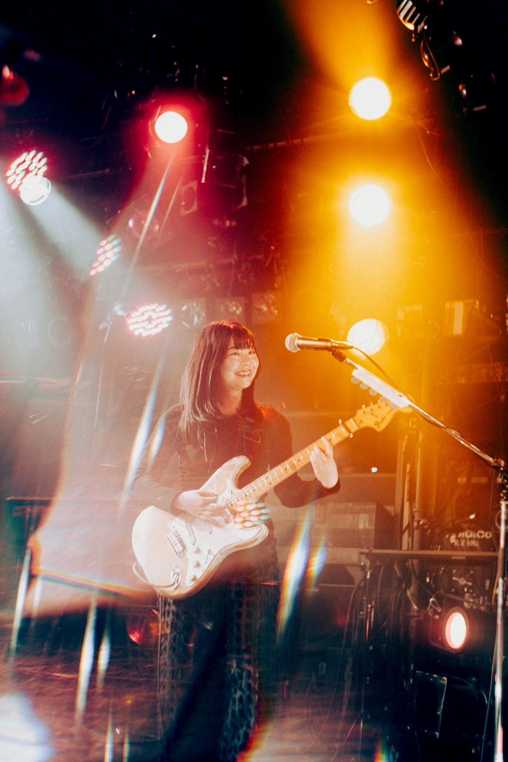 なずな（Photo by toya）