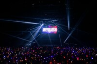 「AMEFURASSHI FINAL LIVE “AMEFURASSHI IS HERE”」の様子。（Photo by Masato Yokoyama）