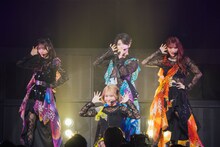 「AMEFURASSHI FINAL LIVE “AMEFURASSHI IS HERE”」の様子。（Photo by Masato Yokoyama）