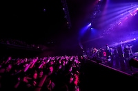 ART-SCHOOLのライブの様子。（撮影：中野敬久）