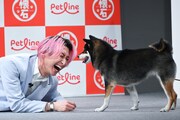 犬・ウメちゃん（右）の落ち着きのなさに笑ってしまう佐久間大介（左）。