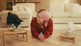 動物大好きSnow Man佐久間大介、「懐石」振る舞いワンちゃんネコちゃん大喜び