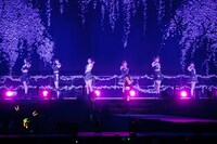 モーニング娘。'26