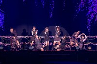 ロージークロニクル