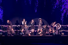 ロージークロニクル