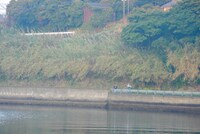 「WACK合同オーディション2026」2日目早朝マラソンの様子。