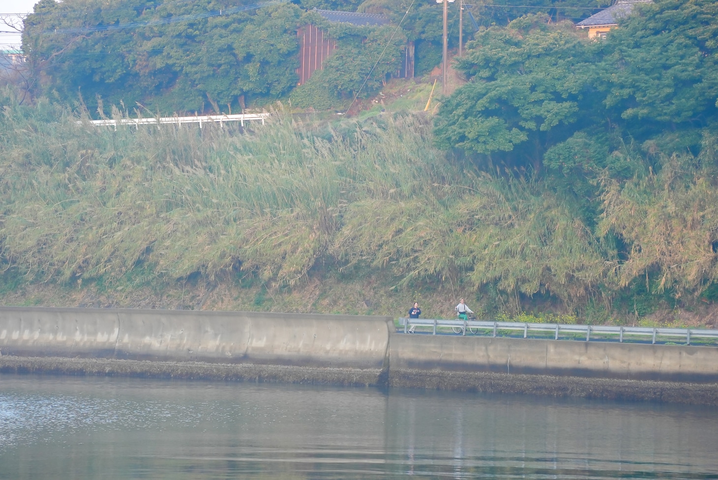 「WACK合同オーディション2026」2日目早朝マラソンの様子。