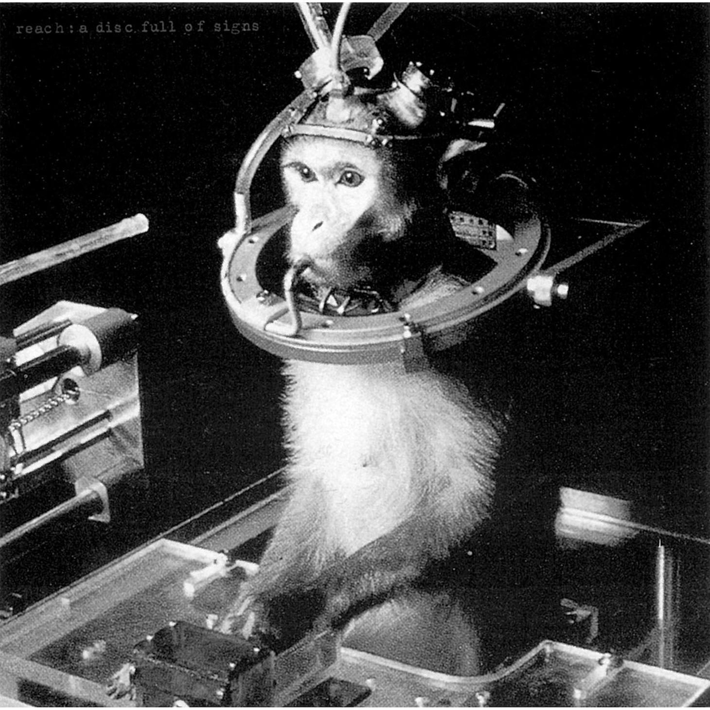 REACH「A DISC FULL OF SIGNS」ジャケット