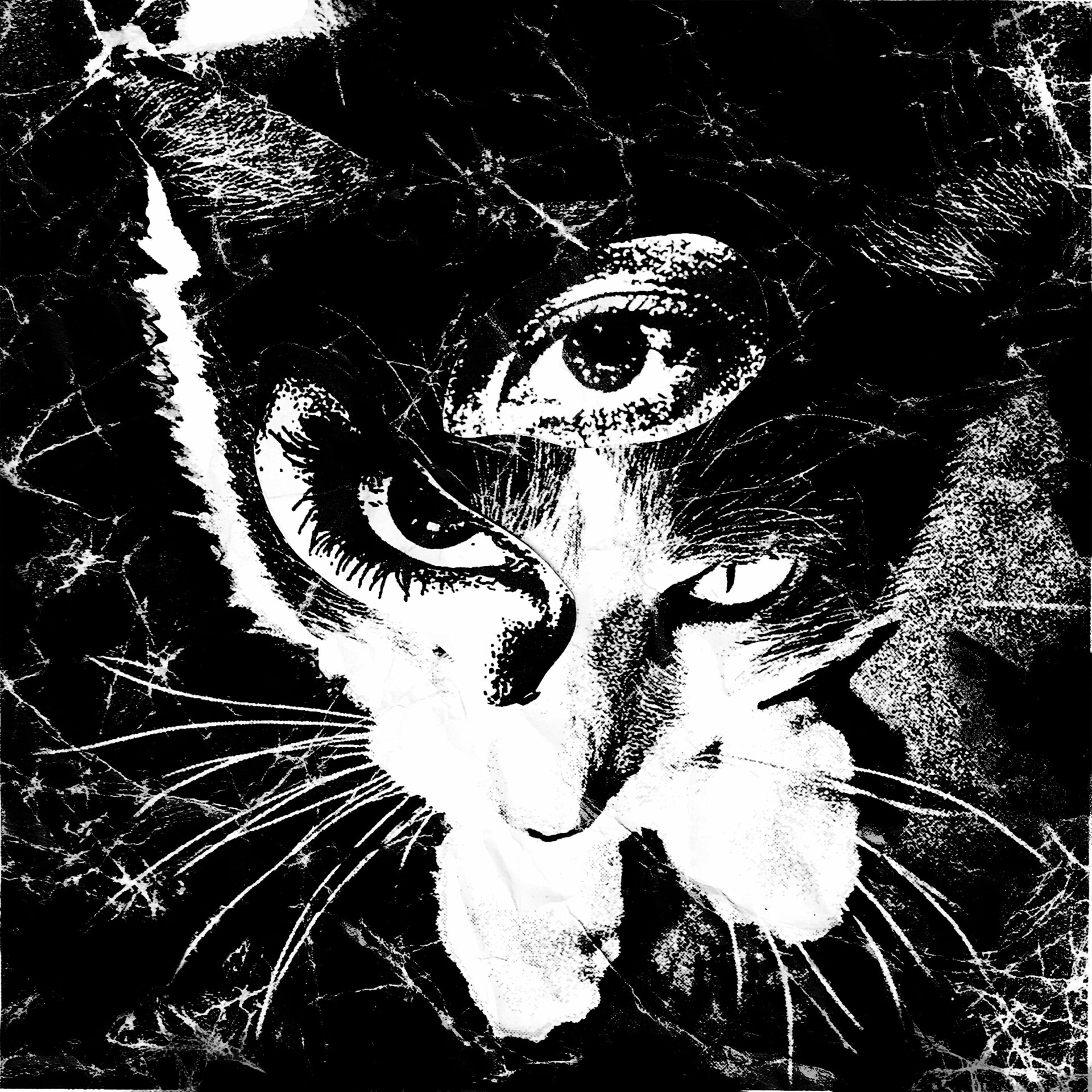 東京酒吐座が約3年ぶりアルバム「Remains」発売、レコ発は4国巡る