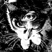 東京酒吐座「Remains」ジャケット