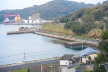 「WACK合同オーディション2026」3日目早朝マラソンの様子。