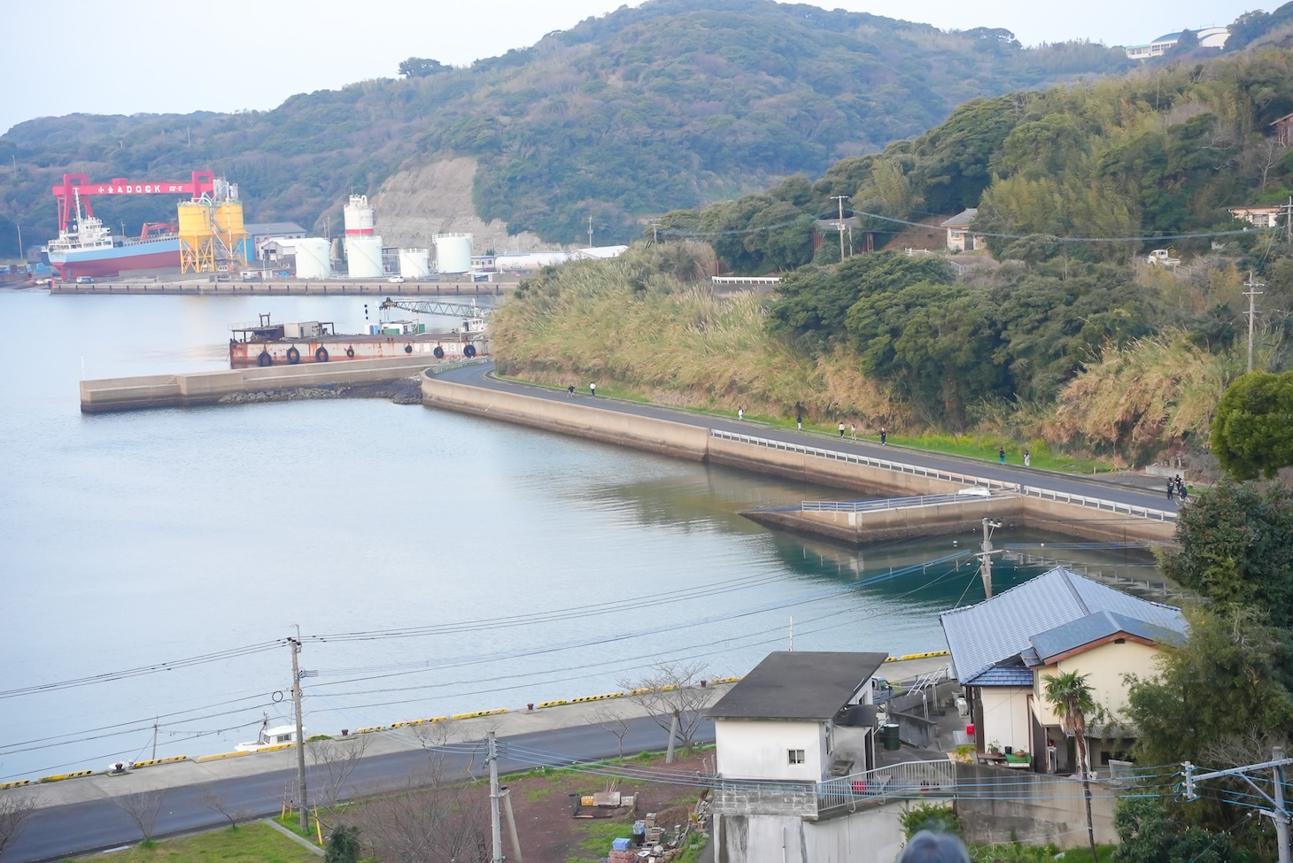 「WACK合同オーディション2026」3日目早朝マラソンの様子。